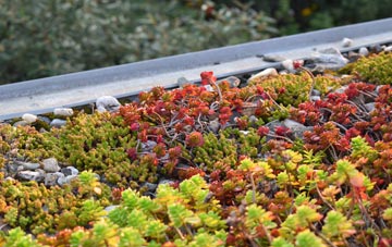 the cost of Felindre Farchog green roof installation