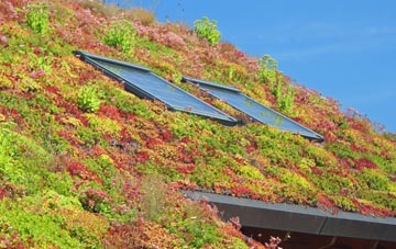 Felindre Farchog living roof systems