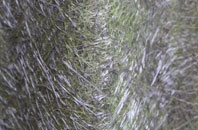 Felindre Farchog fibreglass roof work